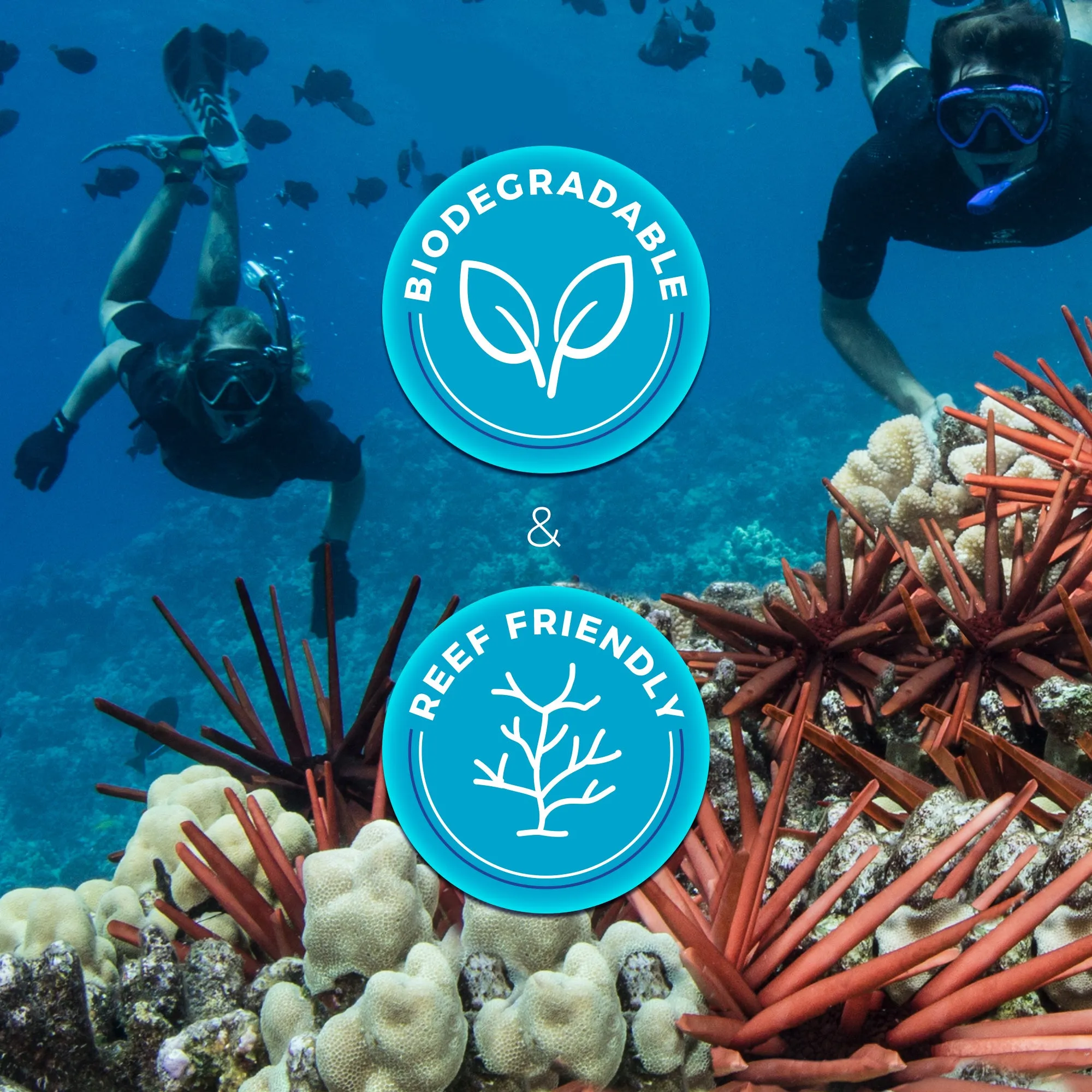 Seavenger Ocean Kiss Reef Safe Anti Jellyfish Sting Protection Sunscreen SPF 50